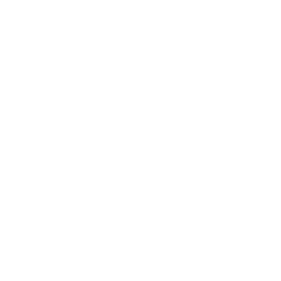nahida